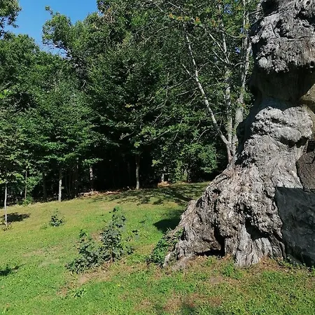 Holiday home Casagiulia Sillano
