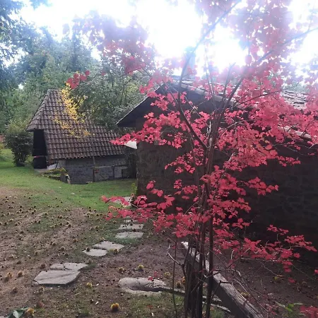 Casagiulia *