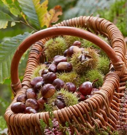 Casagiulia بيت للعطل *